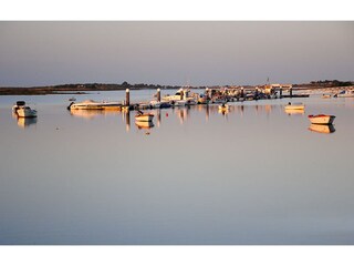 Ria Formosa, Natural reserve