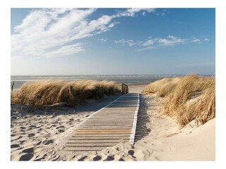 Casa per le vacanze De Koog Ambiente 16