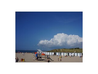 Vakantiehuis Vrouwenpolder Omgeving 11