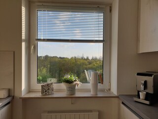 Vakantieappartement St. Peter-Ording Keuken 14
