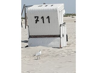 Apartamento de vacaciones St. Peter-Ording Entorno 26