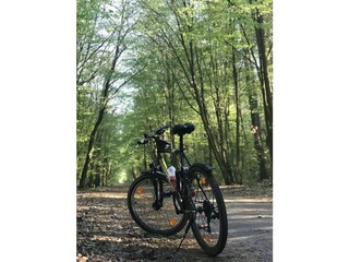 Apartment Falkensee Environment 28