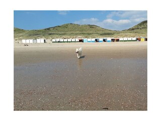 Appartamento per vacanze Zoutelande Ambiente 29