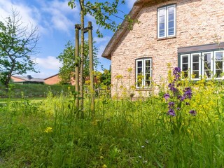 Apartment St. Peter-Ording Außenaufnahme 37