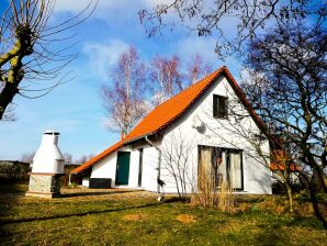Ferienhaus am Haff - Stolpe auf Usedom - image1