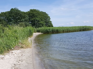 Badestelle am Haff in Prätenow