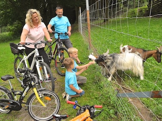 Tiergehege im Gruberbach