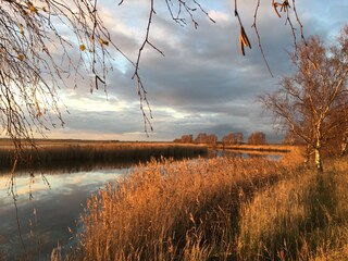 Bodden