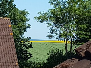 Blick Dachfenster