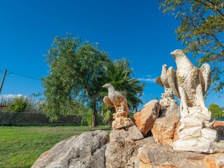 Villa Lloseta Registrazione all'aperto 19