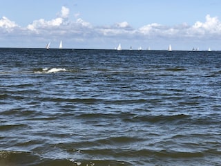 Bodden/Ostsee