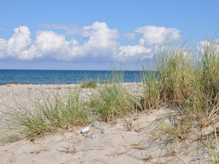 Ferienwohnung Burgtiefe Außenaufnahme 24