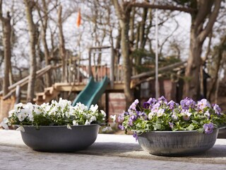 Appartamento per vacanze Callantsoog Registrazione all'aperto 24