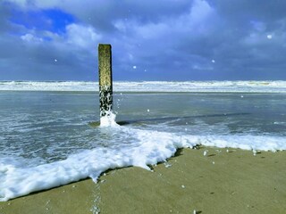 Appartamento per vacanze Callantsoog Registrazione all'aperto 28