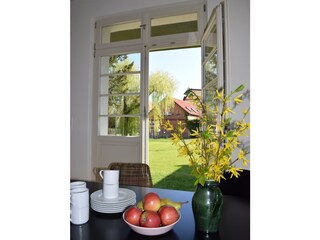 Blick in den Garten