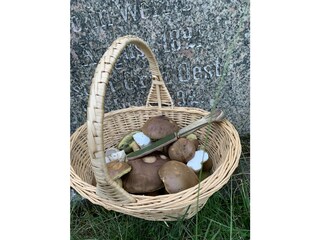 Ferienwohnung Vrees Umgebung 30