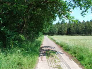 Ideal zum Wandern, Fahrradfahren oder Ausreiten