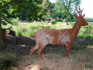 Ferienwohnung Vrees Umgebung 25