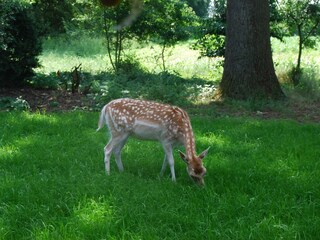 Besuch unserer Nachbarn