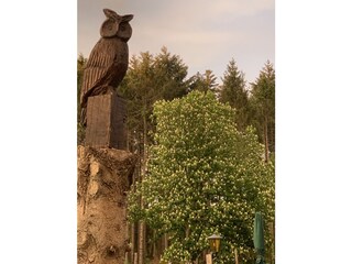 Ferienwohnung Vrees Umgebung 28