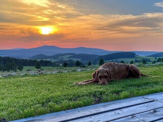 Casa per le vacanze Waldershof Ambiente 30