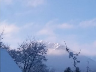 Blick aus dem Garten