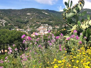 Seccheto, the littel town on the "costa del sole" Elba