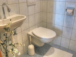 Appartamento Ramsau im Zillertal Caratteristiche 11