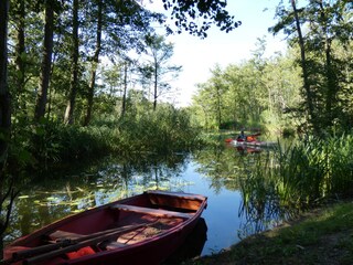 Naturpark bei Moryn / Mohrin.