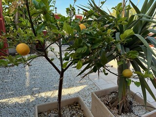 Villa Finestrat Außenaufnahme 10