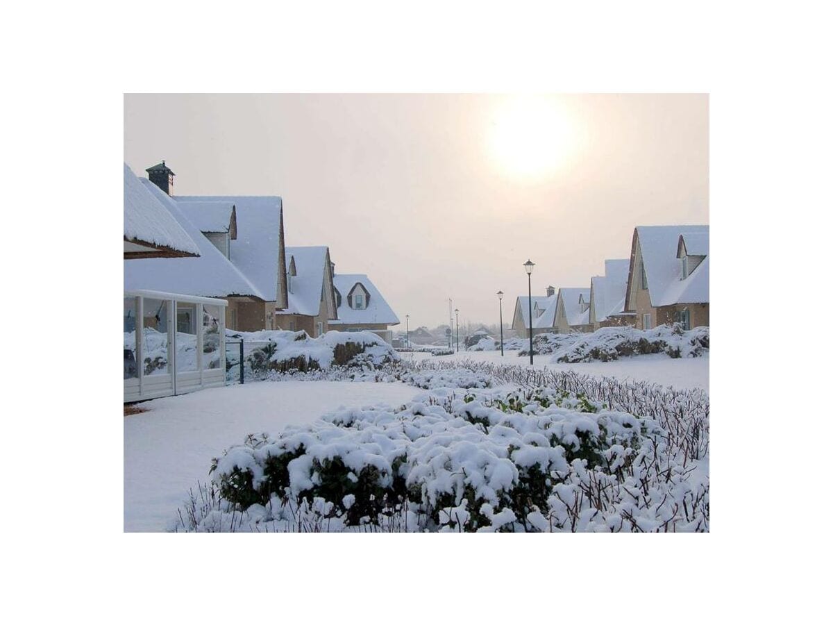 Winter beim Strandvilla Duynzicht