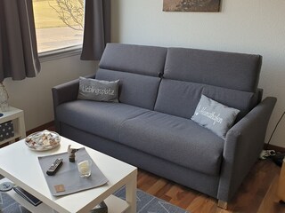 comfortable sofa bed (2021)