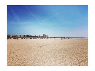 Fehmarn in may