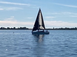 Segelboot Hafeneinfahrt Burgtiefe