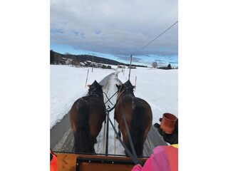 Appartamento per vacanze Bernbeuren Registrazione all'aperto 8