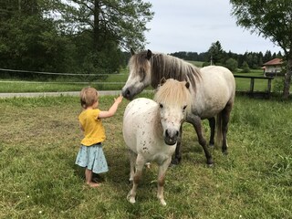 Appartamento per vacanze Bernbeuren Registrazione all'aperto 5
