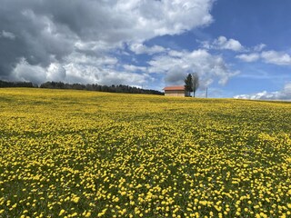 Appartamento per vacanze Bernbeuren Ambiente 39