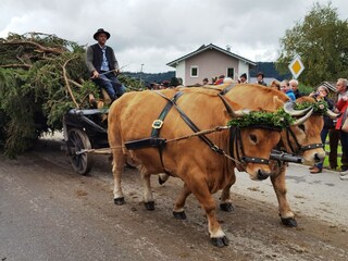 Appartamento per vacanze Bernbeuren Ambiente 38