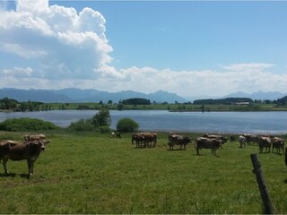 Appartamento per vacanze Bernbeuren Ambiente 40