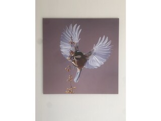 Chalet Olburgen Características 14