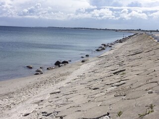 Maison flottante Großenbrode Environnement 23