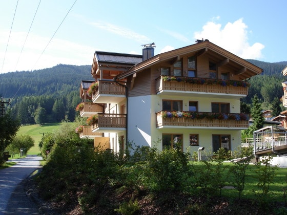 Luxus Apartment an der Steinbergbahn für 4 bis 6 Personen mit Garten in Leogang