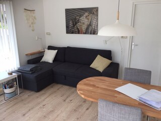 Appartamento per vacanze Zoutelande Caratteristiche 8