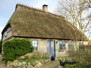 Ferienhaus Reetdach Landhaus - Dollrottfeld - image1