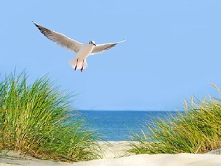 Casa per le vacanze Keitum Ambiente 20