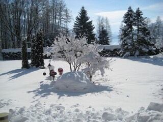 Casa per le vacanze Zell am See Registrazione all'aperto 3