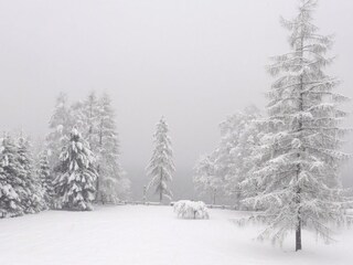 Casa per le vacanze Zell am See Ambiente 20