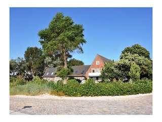 Außenansicht  Haus "An der Mole"