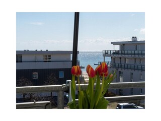 Ferienwohnung Großenbrode Außenaufnahme 4