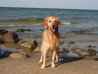 Hundestrand vor der Granitz